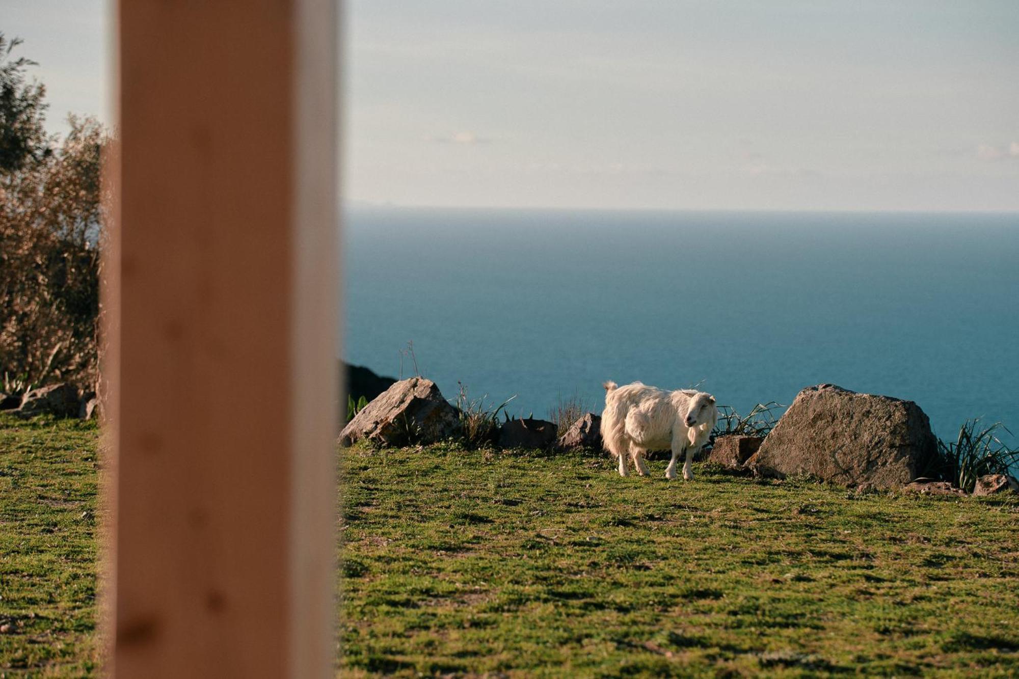 New Suites Sea View Sardinia, Castelsardo Buitenkant foto